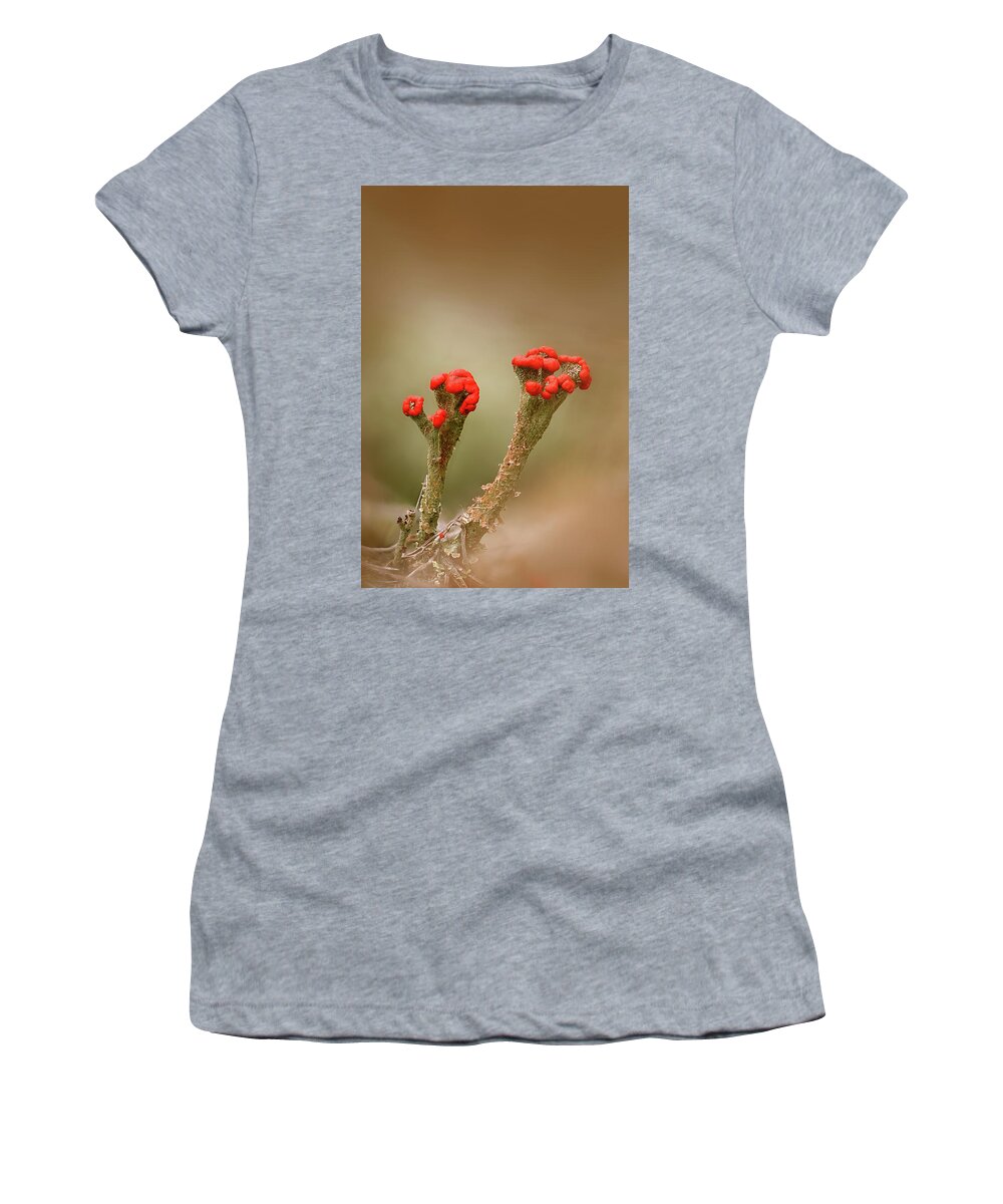 Lichen Women's T-Shirt featuring the photograph British Soldiers by Robert Charity