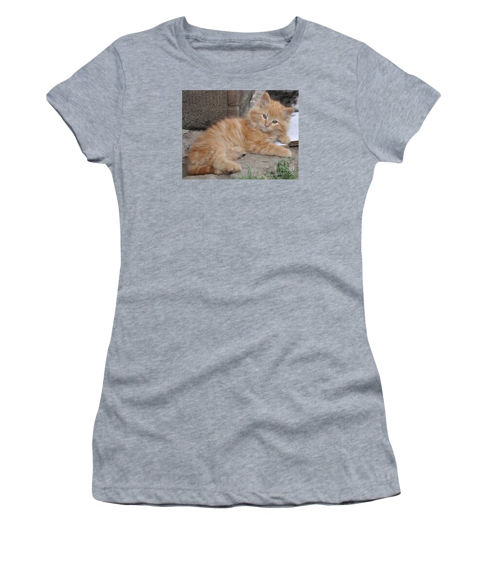 Kittens Women's T-Shirt featuring the photograph Bruce by Reb Frost