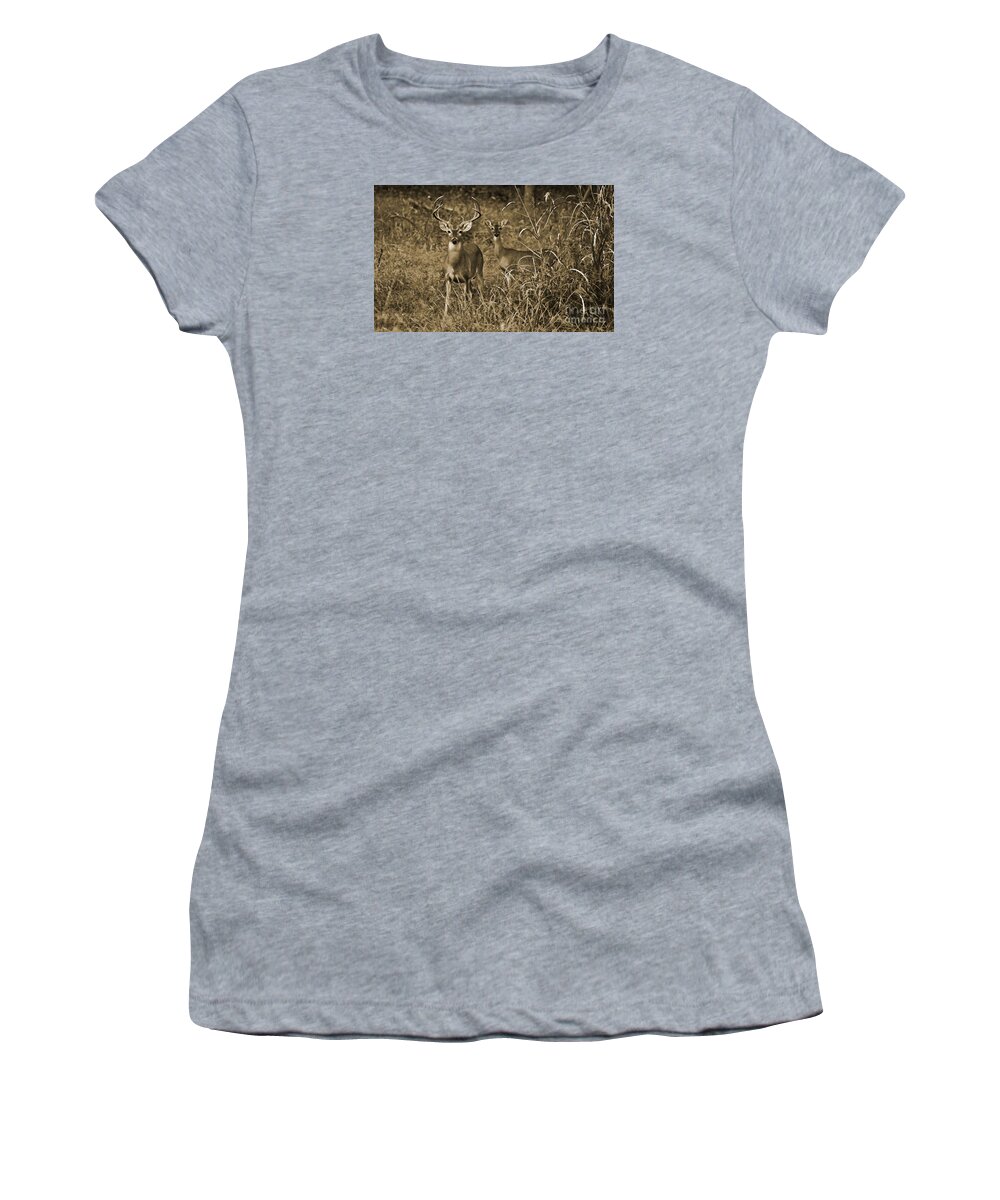 Buck And Doe In Sepia Women's T-Shirt featuring the photograph Buck and Doe in Sepia by Michael Tidwell