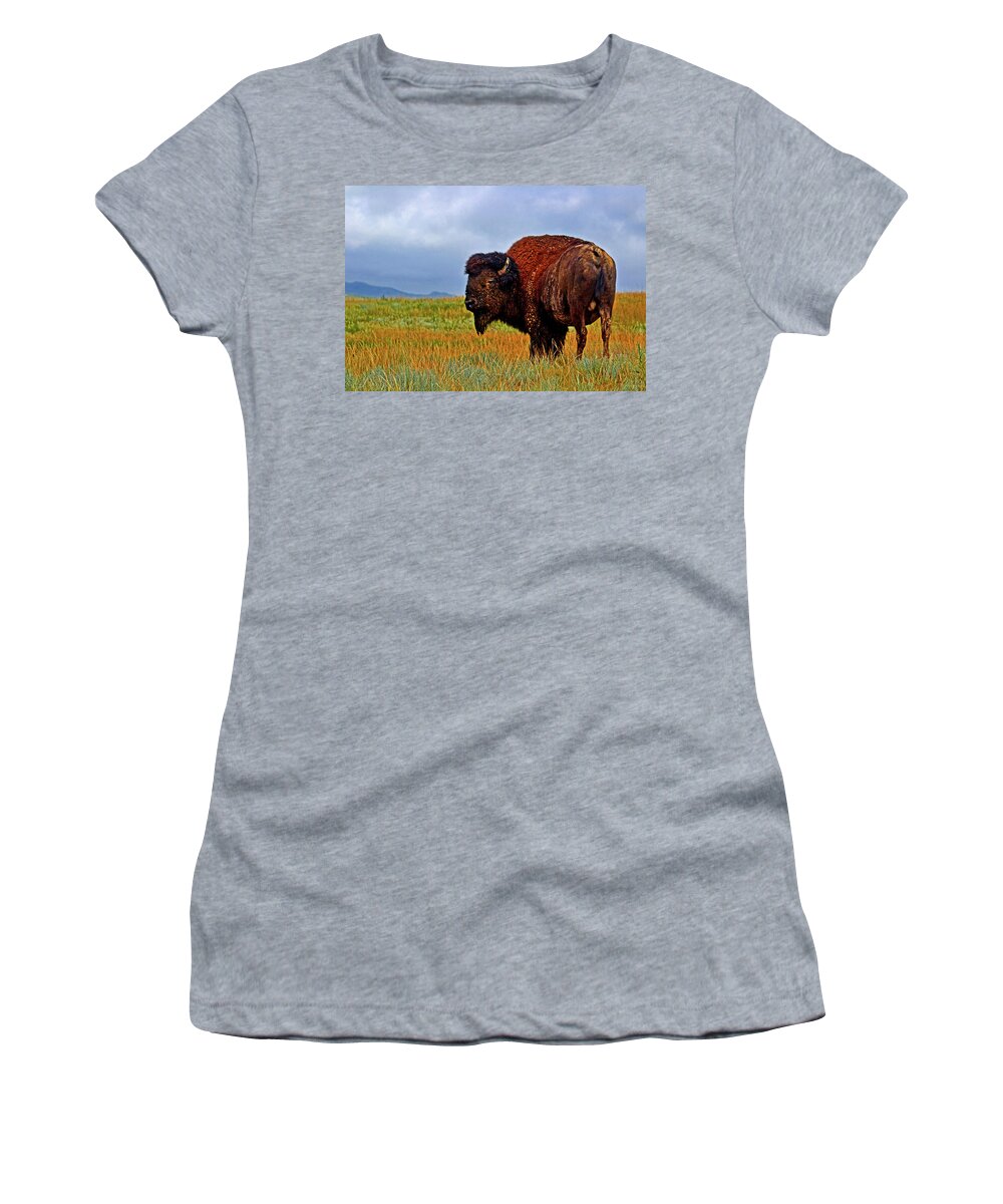 Wildlife Women's T-Shirt featuring the photograph Buffalo 006 by George Bostian