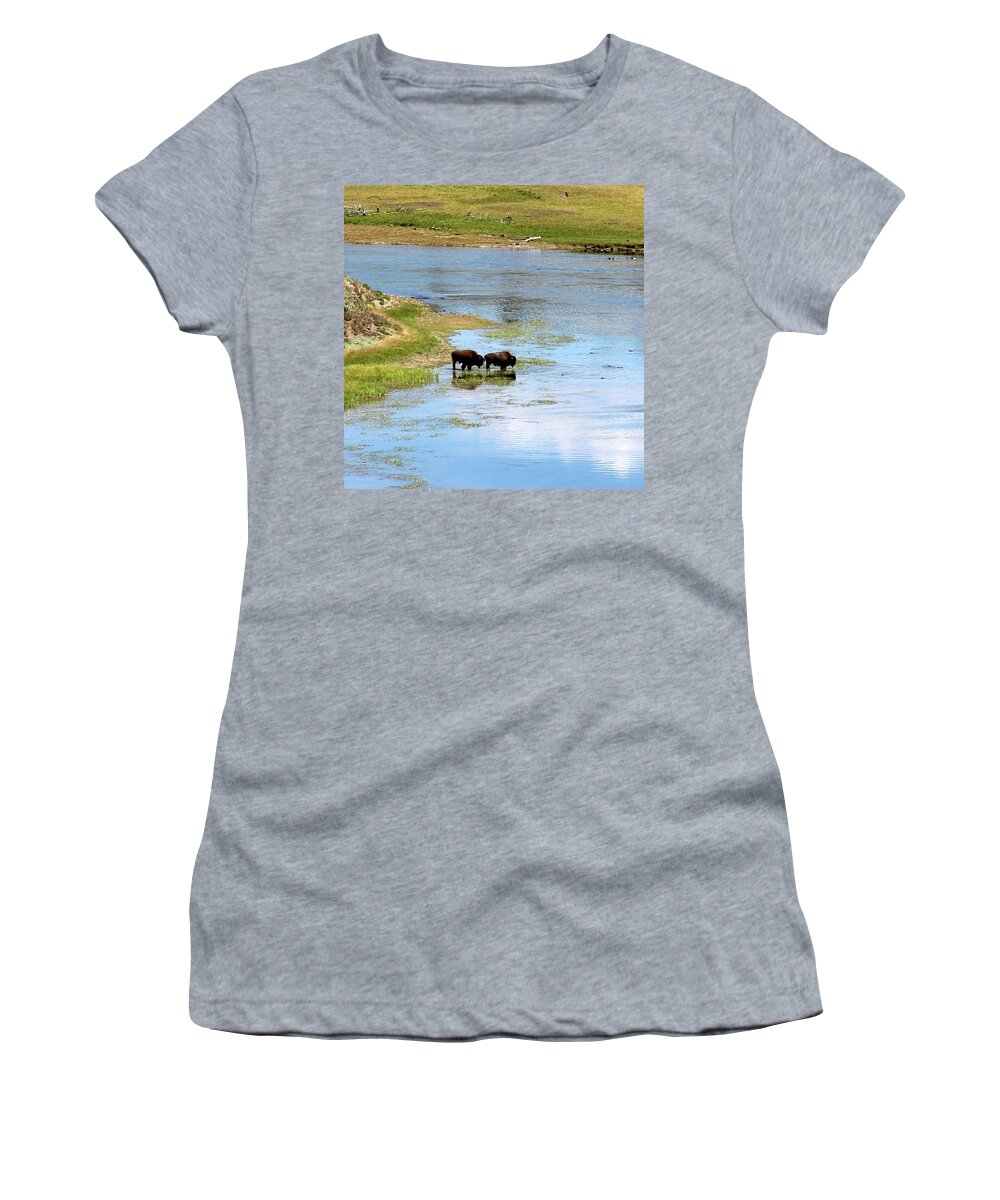 Buffalo Women's T-Shirt featuring the photograph Buffalo Walk by FD Graham