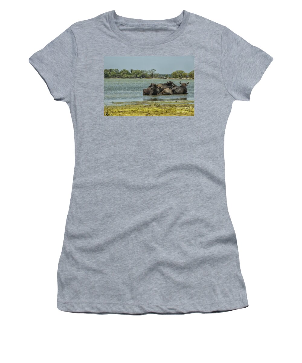 Sri Women's T-Shirt featuring the photograph Buffalo the water by Patricia Hofmeester