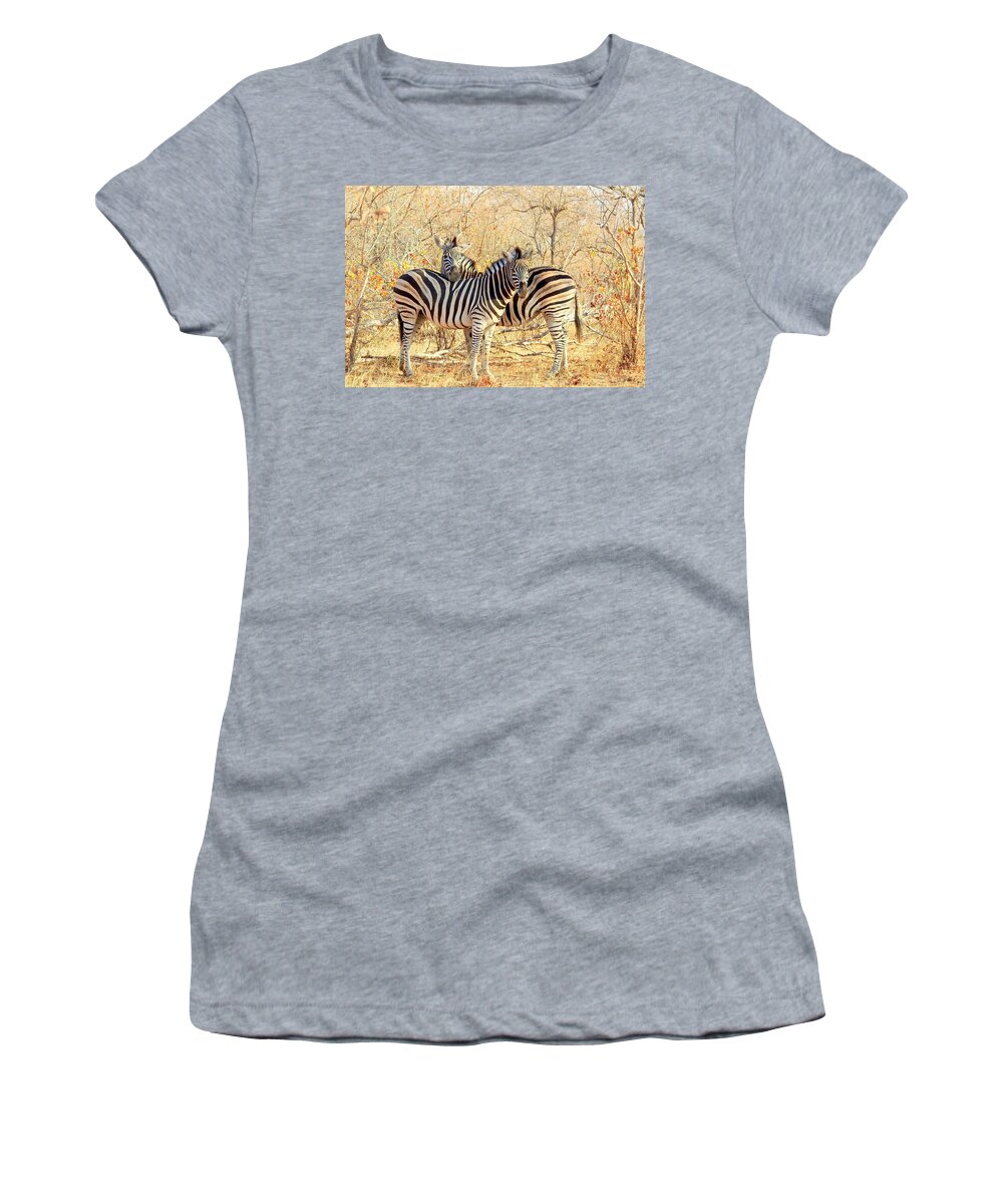 Zebra Women's T-Shirt featuring the photograph Burchells Zebras by Betty-Anne McDonald