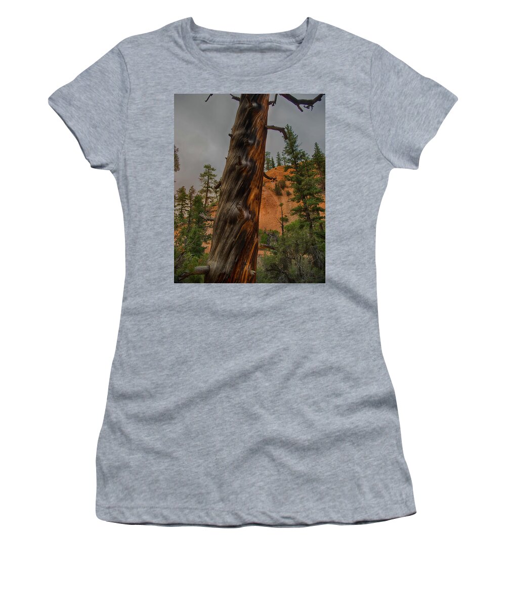 Burned Women's T-Shirt featuring the photograph Burned by Phil Abrams