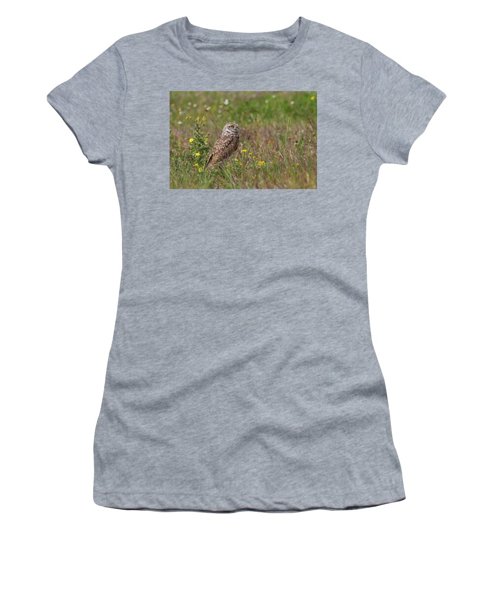 Owl Women's T-Shirt featuring the photograph Burrowing Owl and Flowers by Paul Rebmann