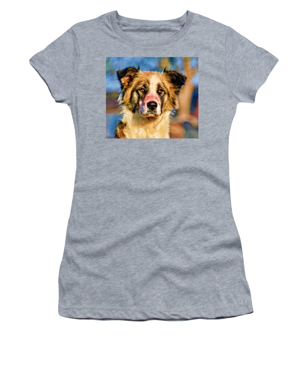 Dogs Man Best Friend Women's T-Shirt featuring the photograph Buster Dog Viewing The Sunset by Lucky Chen