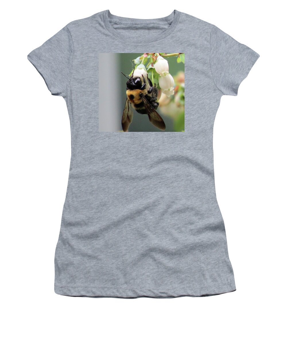 Bees Women's T-Shirt featuring the photograph Busy Bee on Blueberry Blossom by Linda Stern