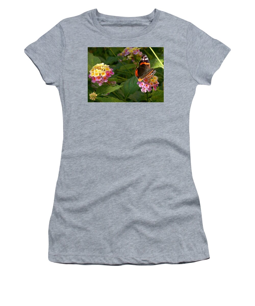 Monarch Butterfly Women's T-Shirt featuring the photograph Busy Butterfly Side 1 by Felipe Adan Lerma