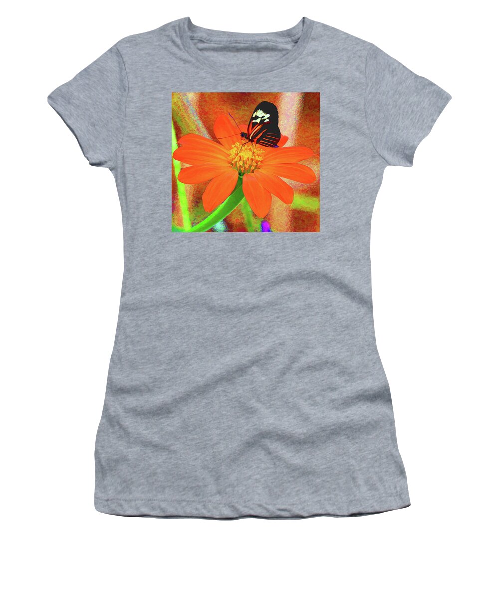  Women's T-Shirt featuring the photograph Butterfly Glow by Rochelle Berman