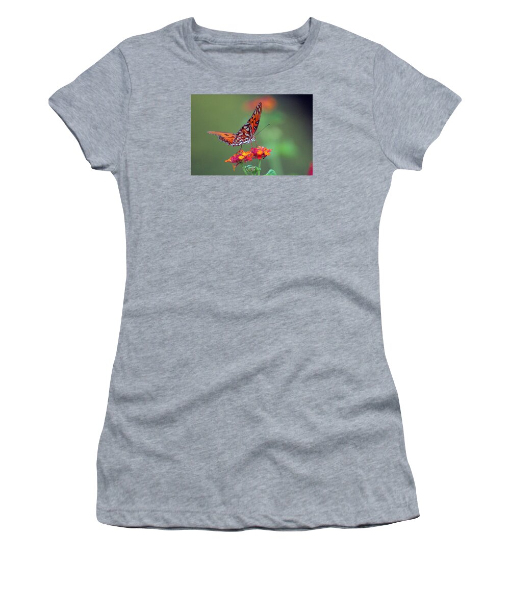 Butterfly Women's T-Shirt featuring the photograph Butterfly Majestic by DB Hayes