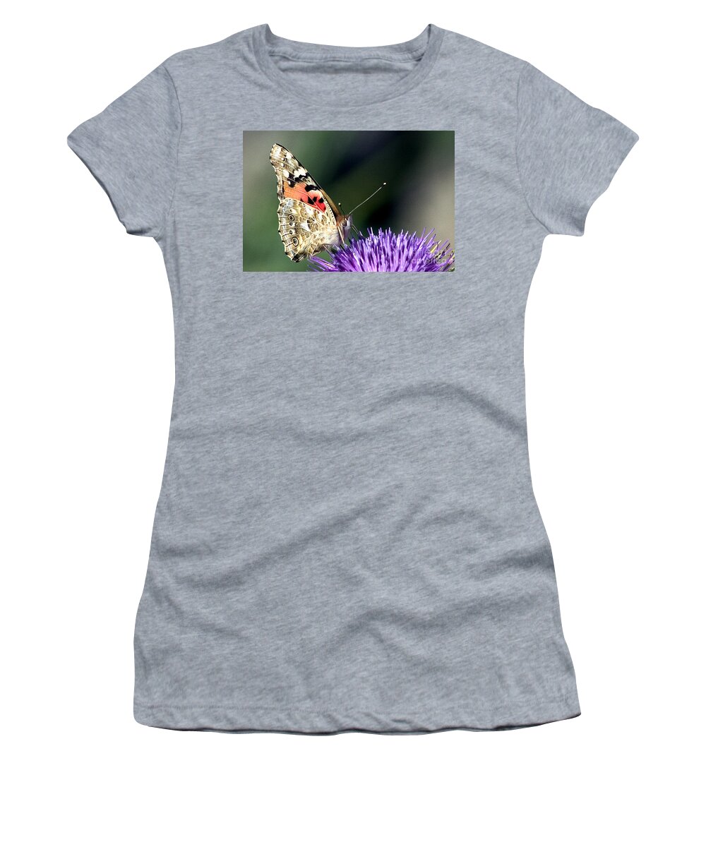 Butterfly Women's T-Shirt featuring the photograph butterfly on a Silybum marianum I by Nahum Budin