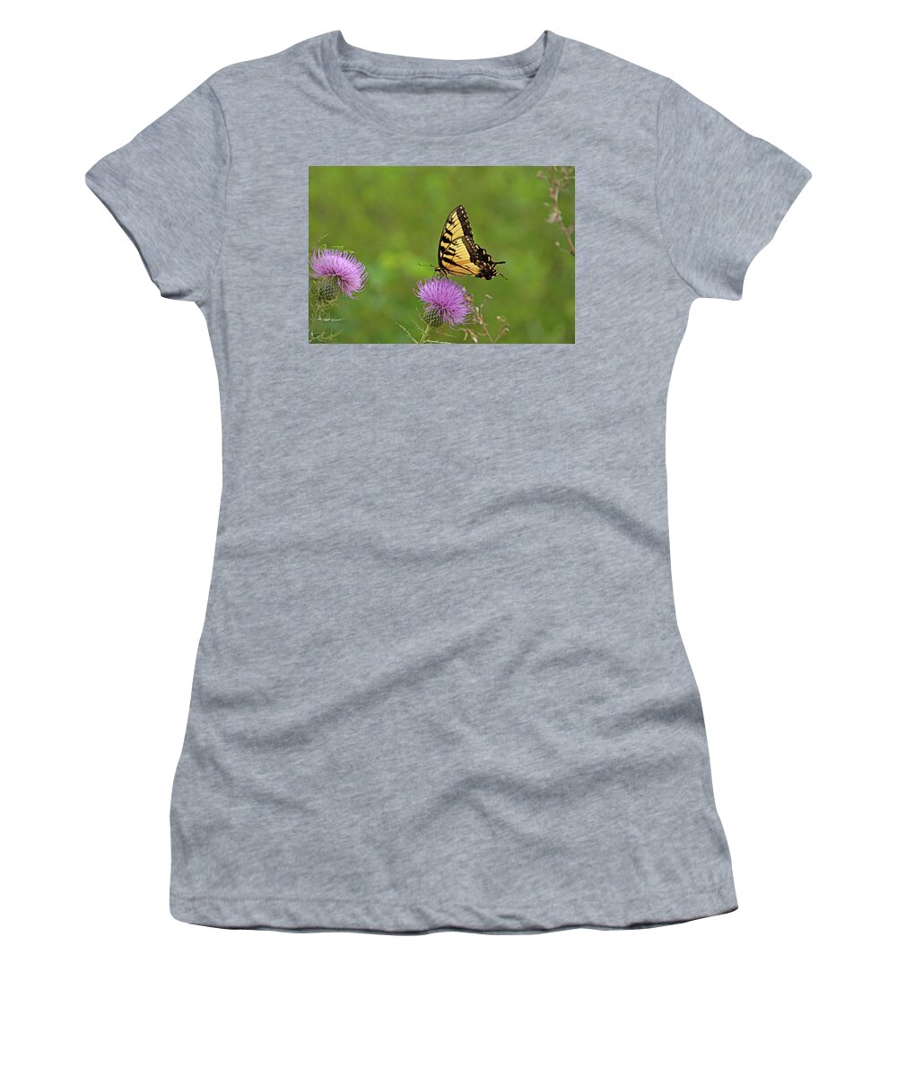 Butterfly Women's T-Shirt featuring the photograph Butterfly on Thistle by Sandy Keeton