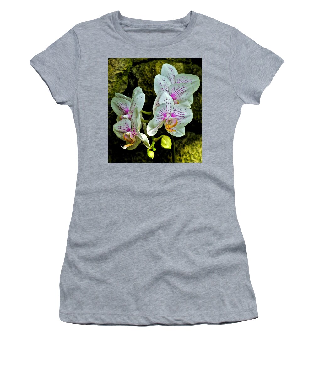 Orchids Women's T-Shirt featuring the photograph Butterfly Orchids by Janis Senungetuk