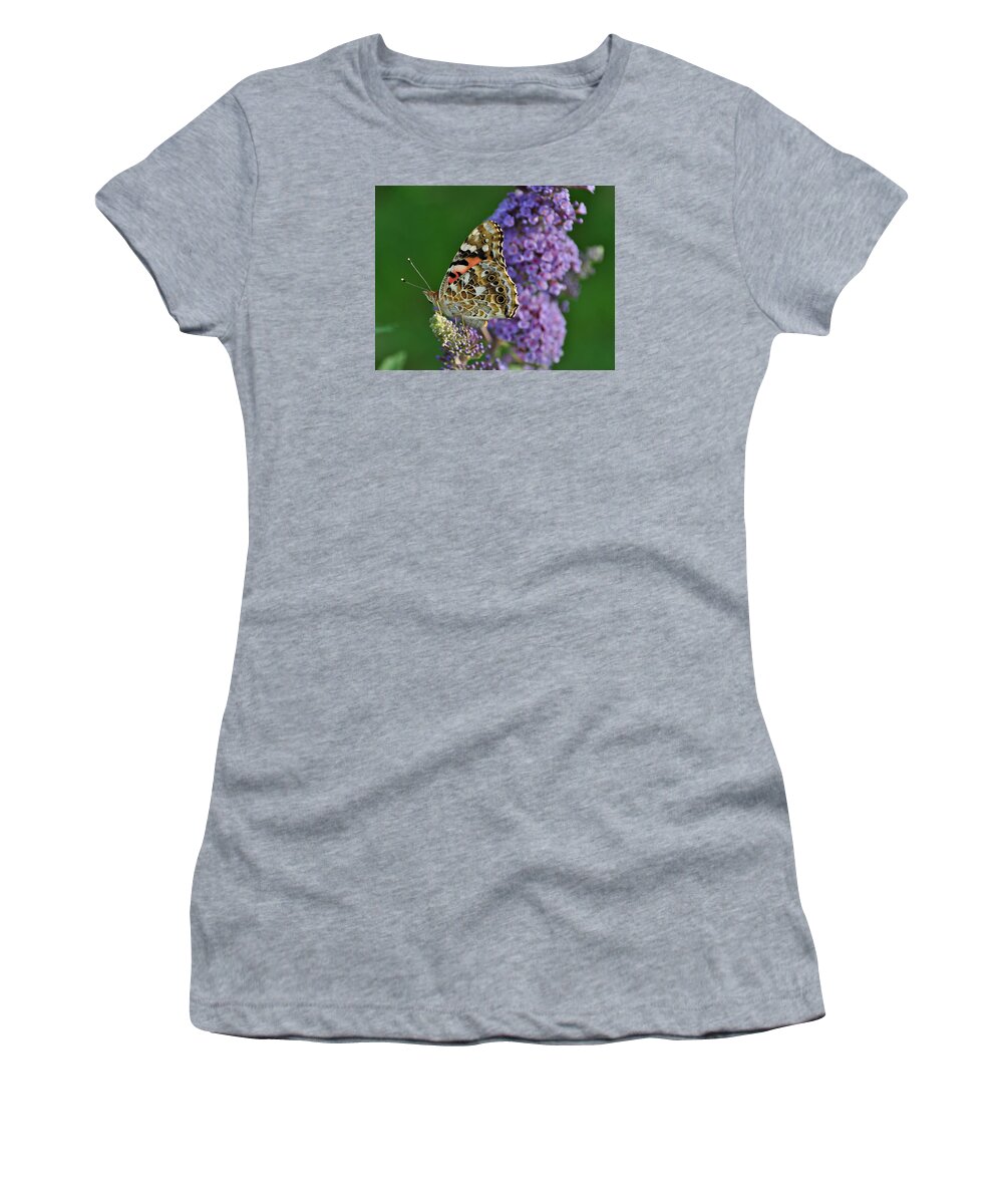 Butterfly Women's T-Shirt featuring the photograph Butterfly1 by Jules Traum