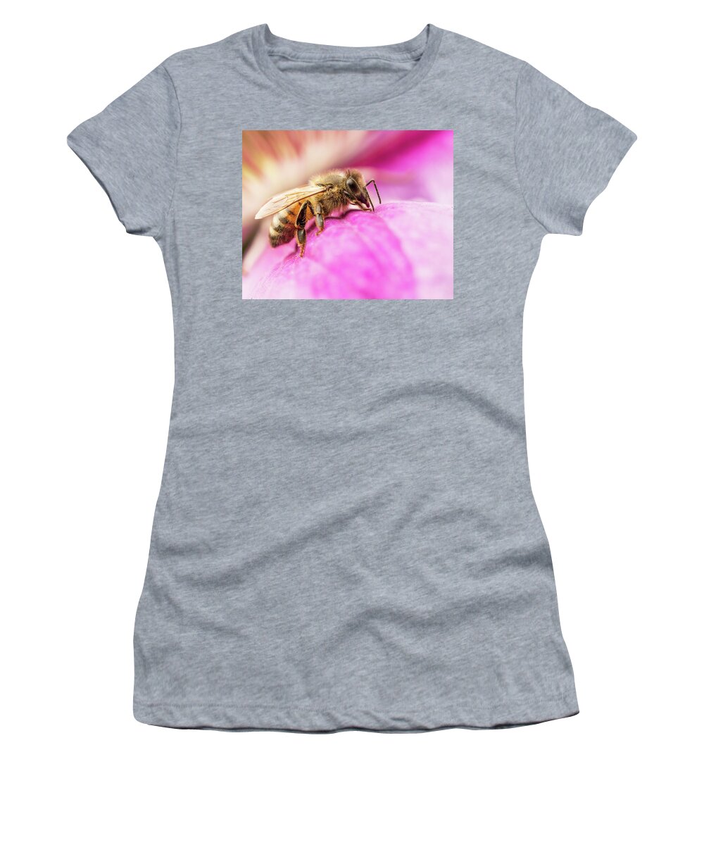 Nature Women's T-Shirt featuring the photograph Buzz by Bob Cournoyer