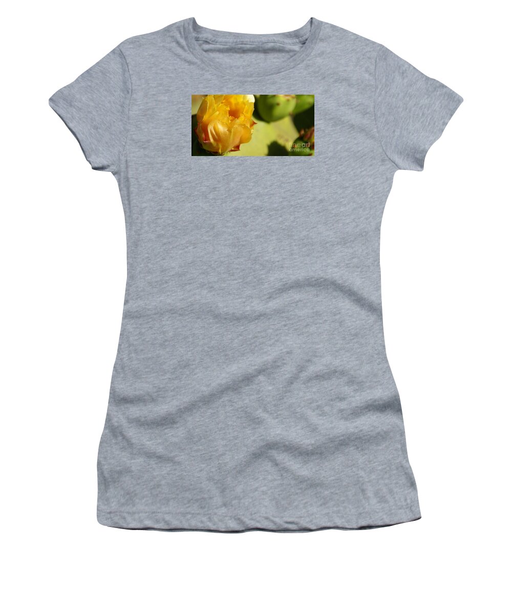 Cactus Women's T-Shirt featuring the photograph Cactus Flower by Linda Shafer
