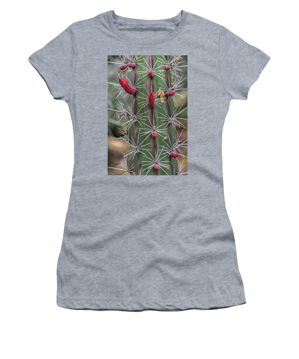 Cactus Women's T-Shirt featuring the photograph Cactus Needles 5930-041118-1 by Tam Ryan