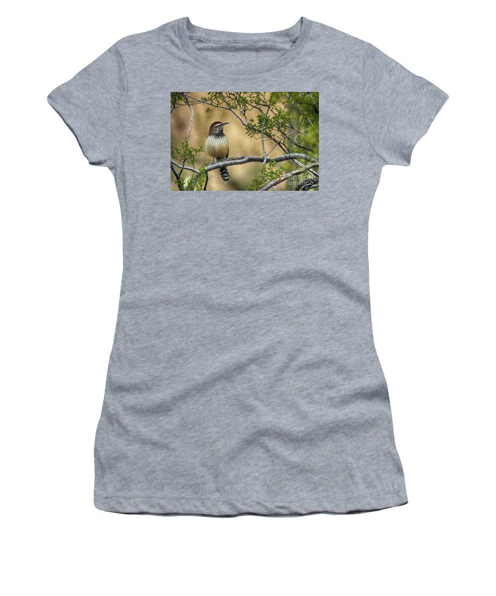 Bird Women's T-Shirt featuring the photograph Cactus Wren by Teresa Zieba