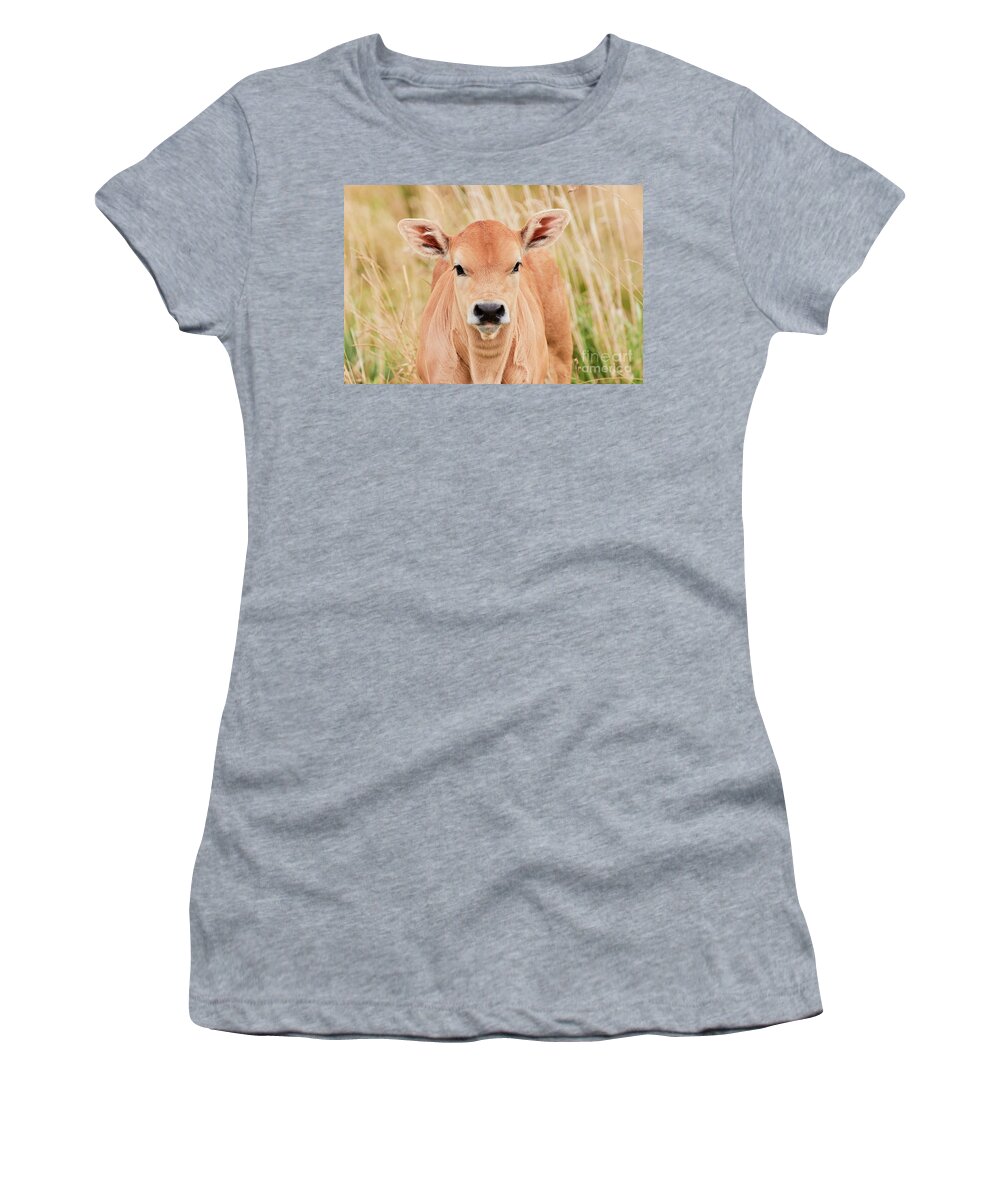 Calf Women's T-Shirt featuring the photograph Calf in the high grass by Nick Biemans