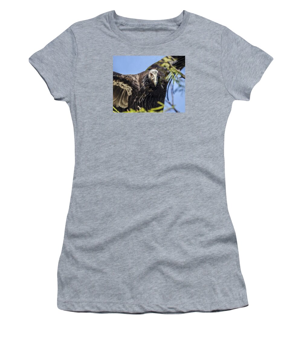 California Condor Women's T-Shirt featuring the photograph California Condor Portrait by William Bitman
