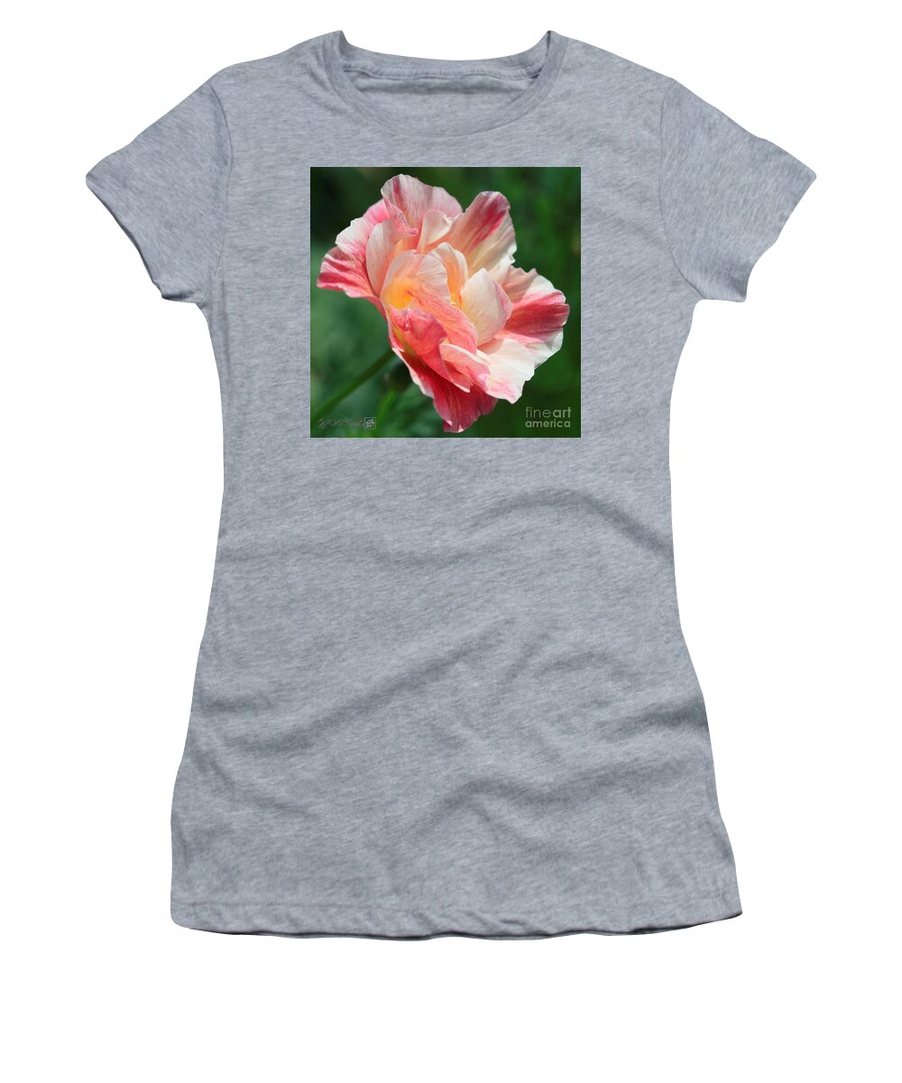 Mccombie Women's T-Shirt featuring the photograph California Poppy named Rosa Romantica by J McCombie