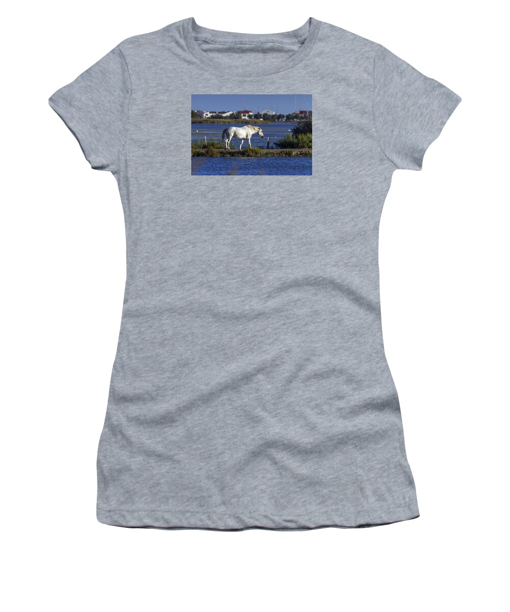 Horse Women's T-Shirt featuring the photograph Camargue horse, France by Elenarts - Elena Duvernay photo