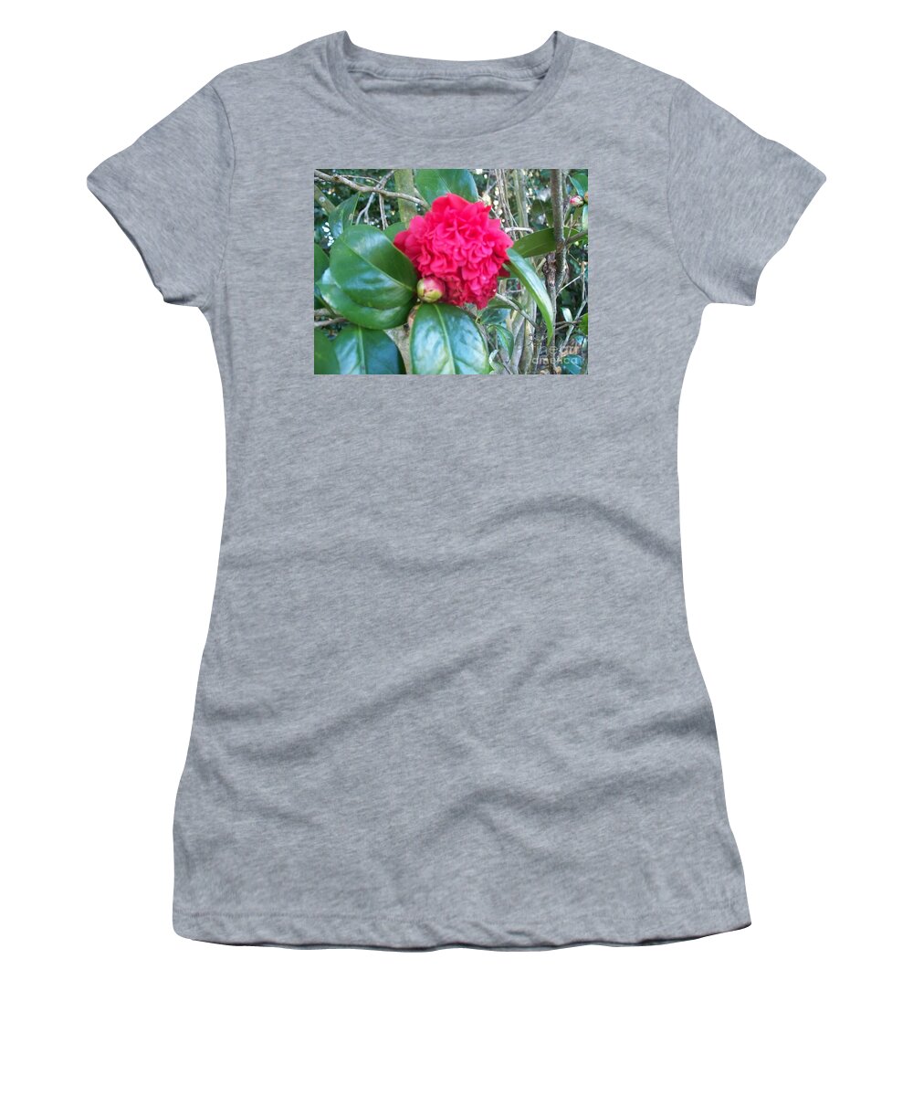 Camellia Women's T-Shirt featuring the photograph Camellia by Seaux-N-Seau Soileau