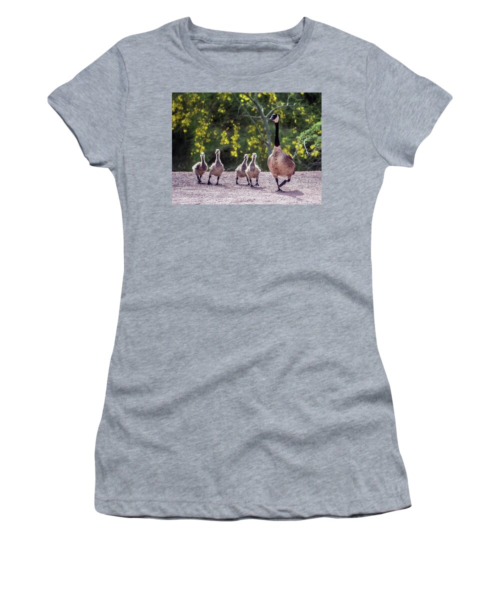 Canada Women's T-Shirt featuring the photograph Canada Goose and Goslings 7581-042618-1 by Tam Ryan