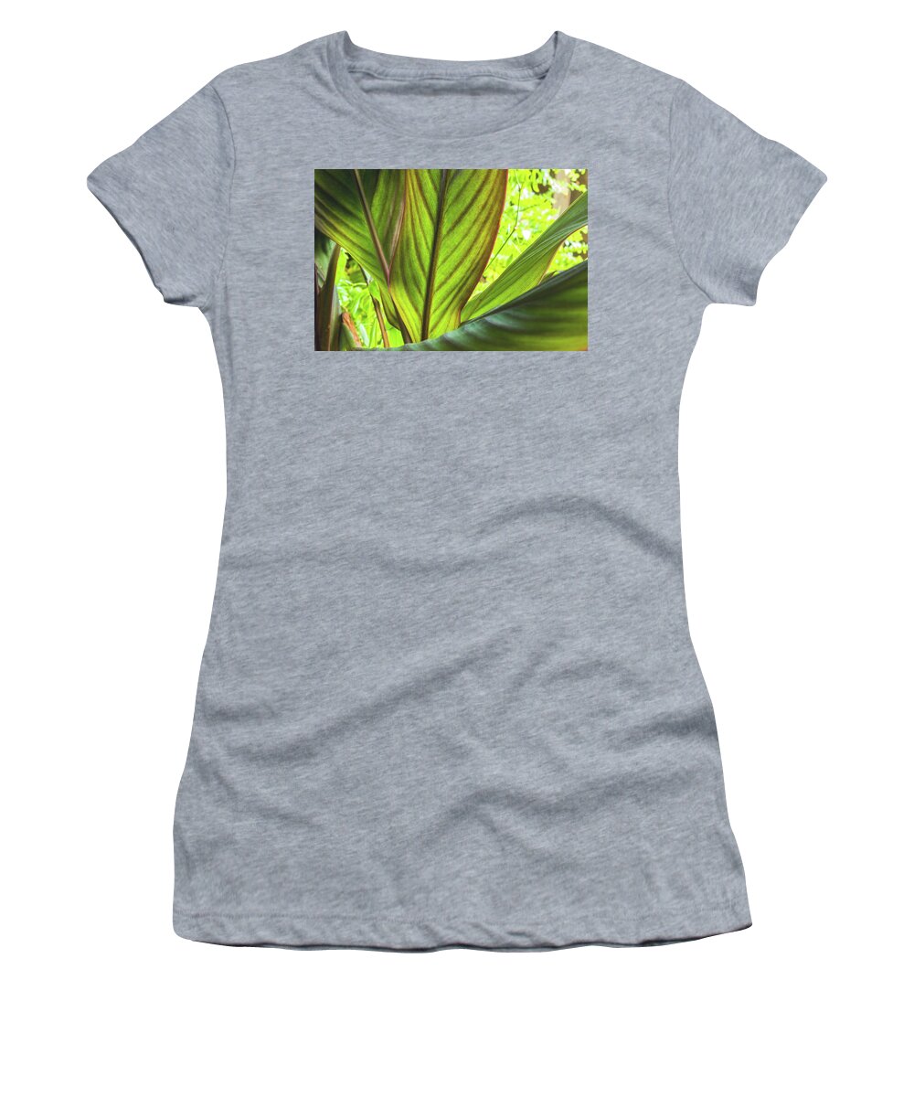 Canna Women's T-Shirt featuring the photograph Canna Leaves by Ira Marcus