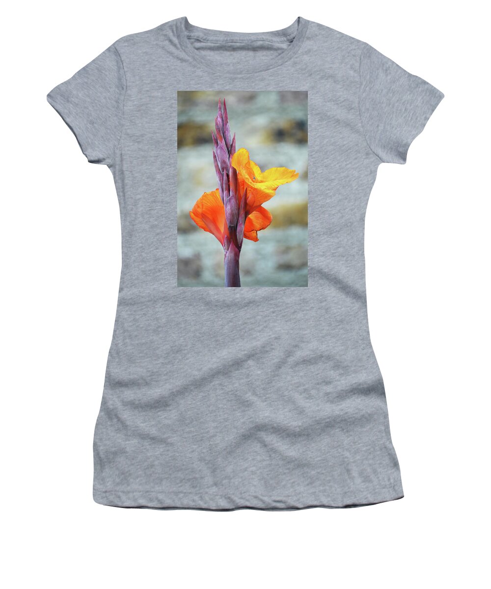 Cannas Women's T-Shirt featuring the photograph Cannas by Terence Davis