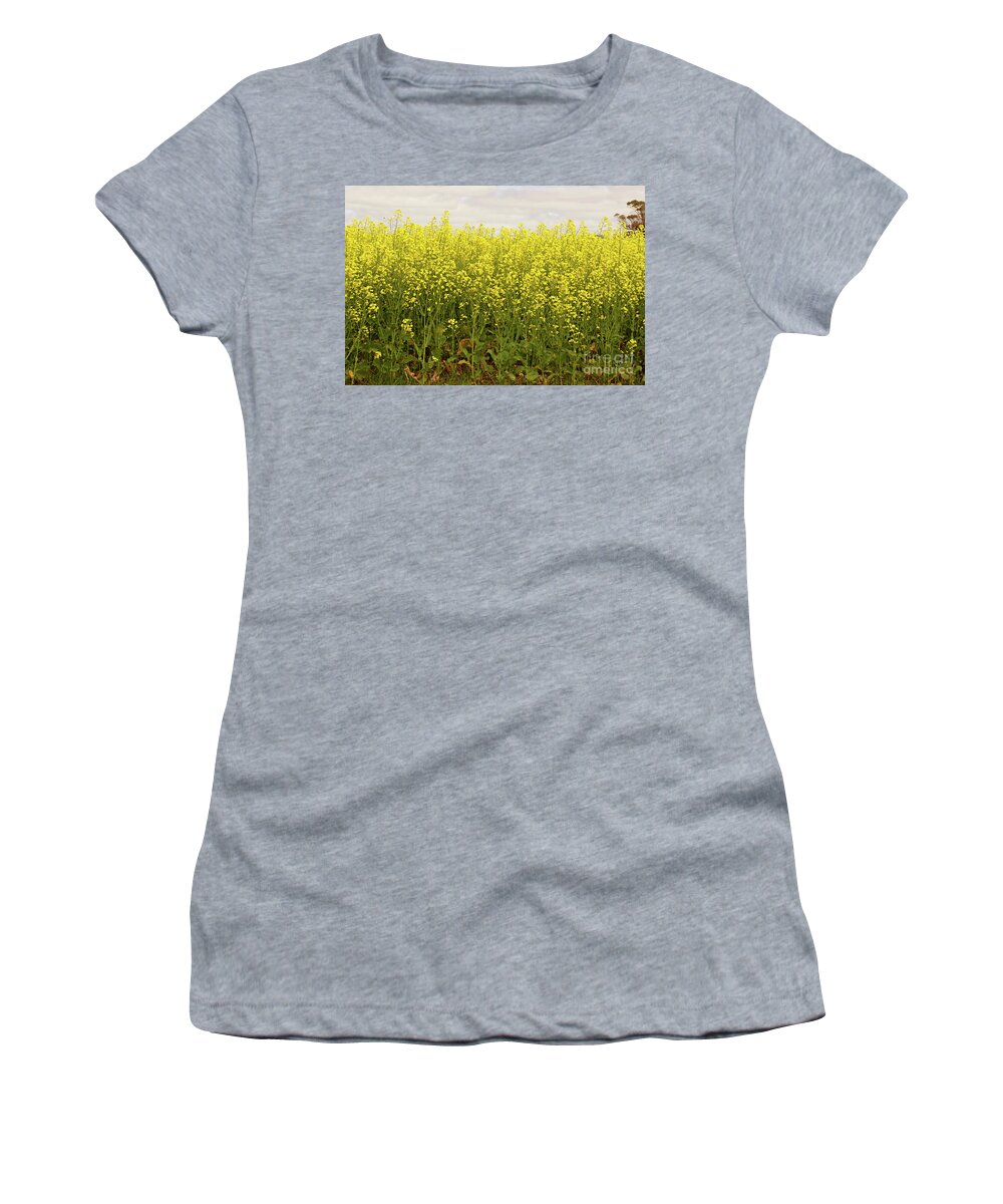 Canola Women's T-Shirt featuring the photograph Canola Harvest by Cassandra Buckley