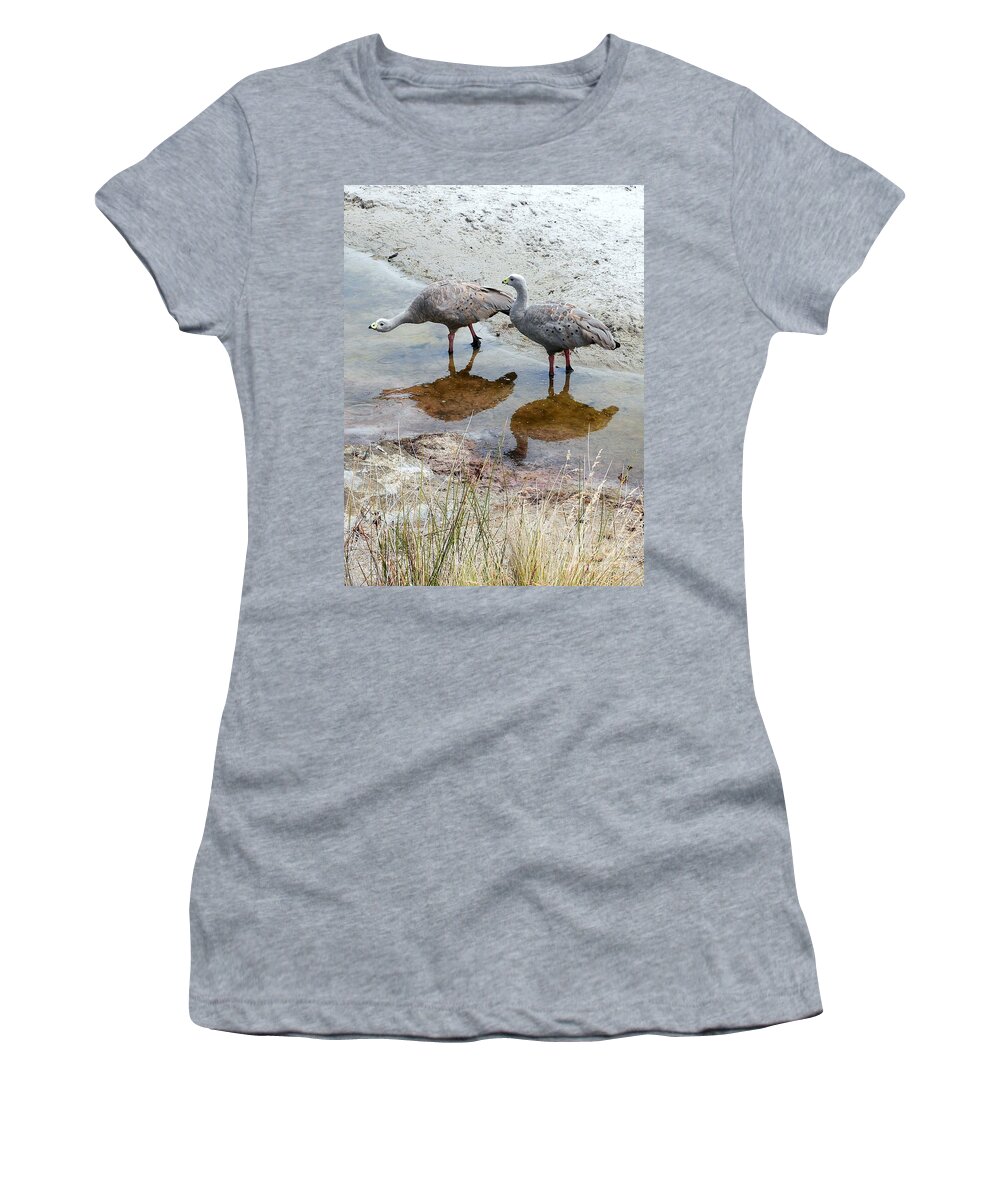 Tantalising Tasmania Series By Lexa Harpell Women's T-Shirt featuring the photograph Cape Baron Geese on Maria Island 2 by Lexa Harpell