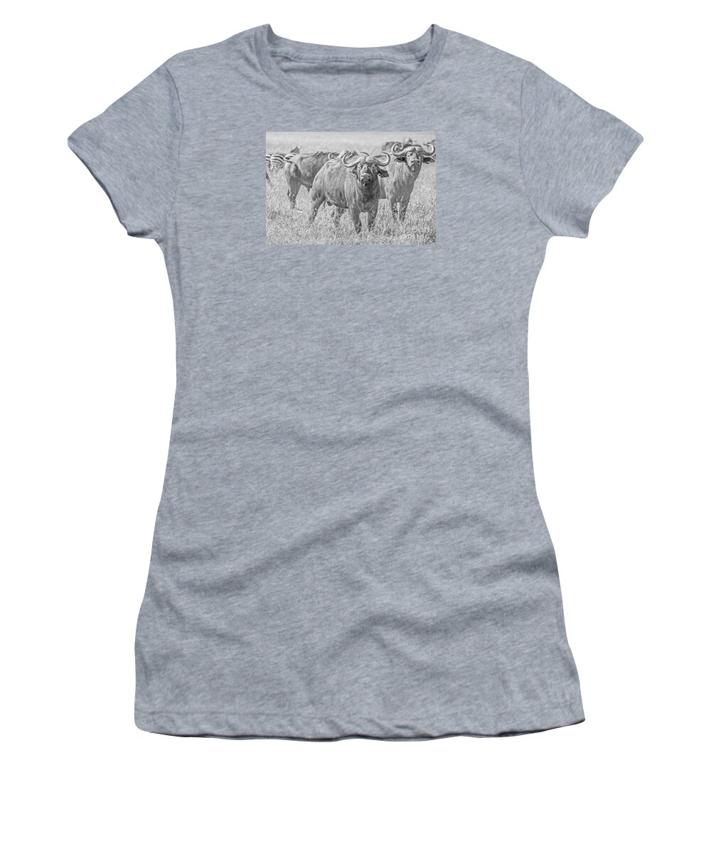 Buffalo Women's T-Shirt featuring the photograph Cape Buffalos in Serengeti by Pravine Chester