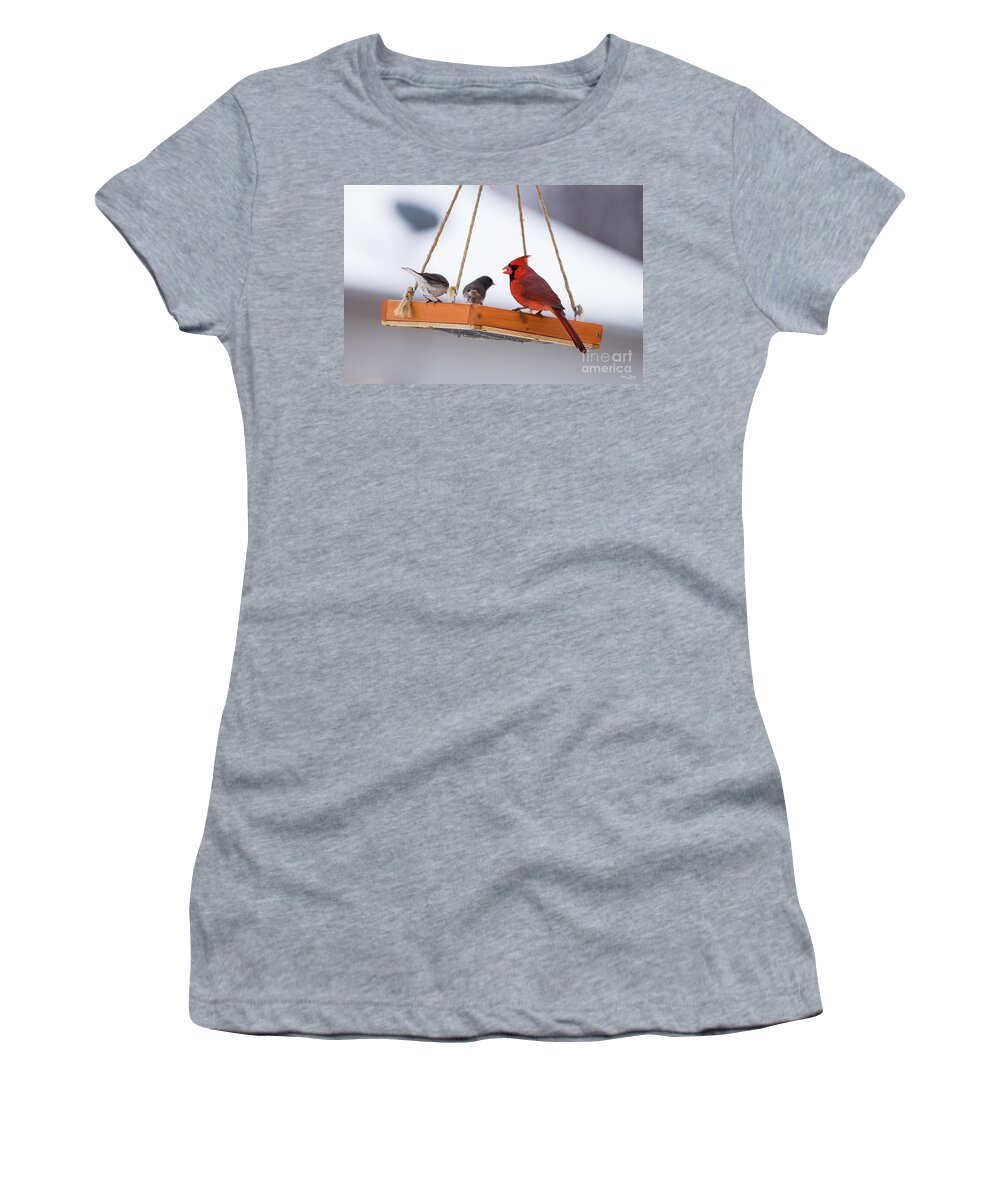 Birds Women's T-Shirt featuring the photograph Cardinal And Juncos by Jennifer White