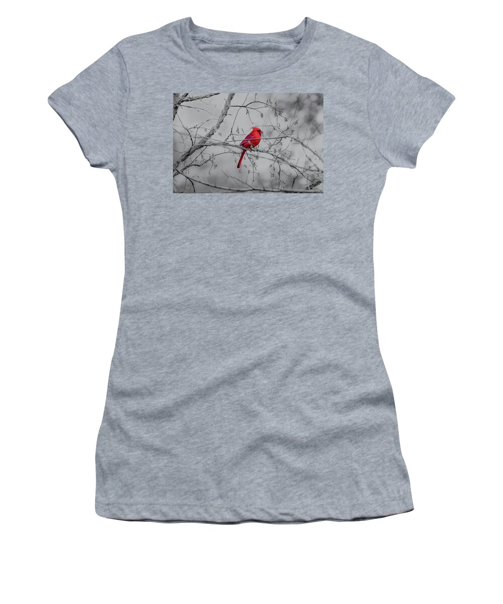 Texas Women's T-Shirt featuring the photograph Cardinal Grey by Erich Grant