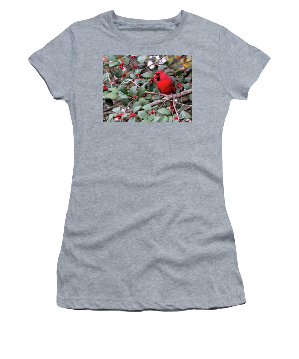 Male Cardinal Women's T-Shirt featuring the photograph Cardinal in Holly Tree by Linda Stern