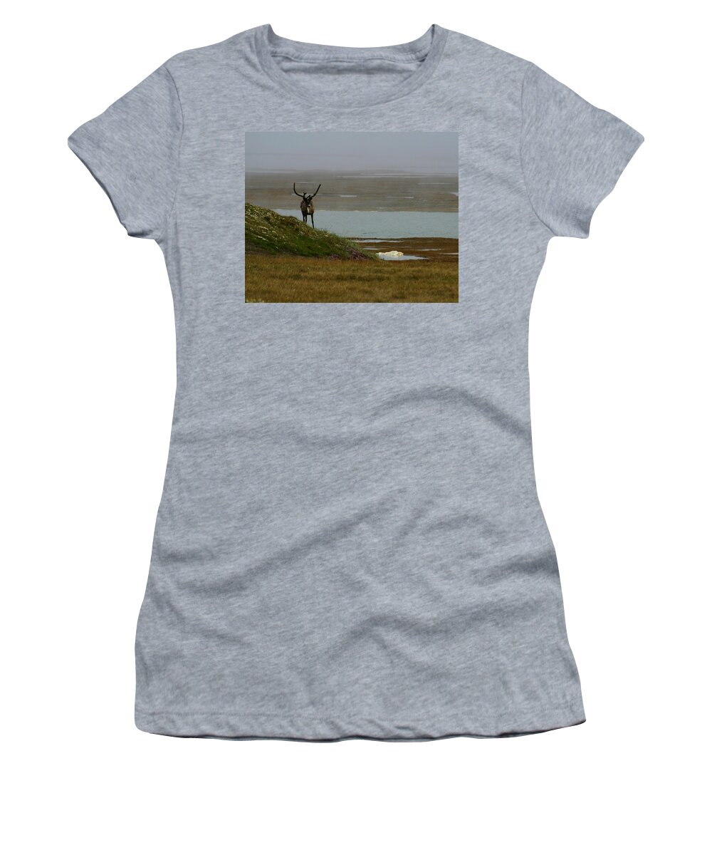 Caribou Women's T-Shirt featuring the photograph Caribou Fog by Anthony Jones