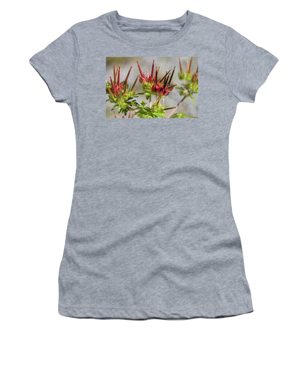 Carolina Cranesbill Women's T-Shirt featuring the photograph Carolina Cranesbill Geranium Seed Pods by Kathy Clark