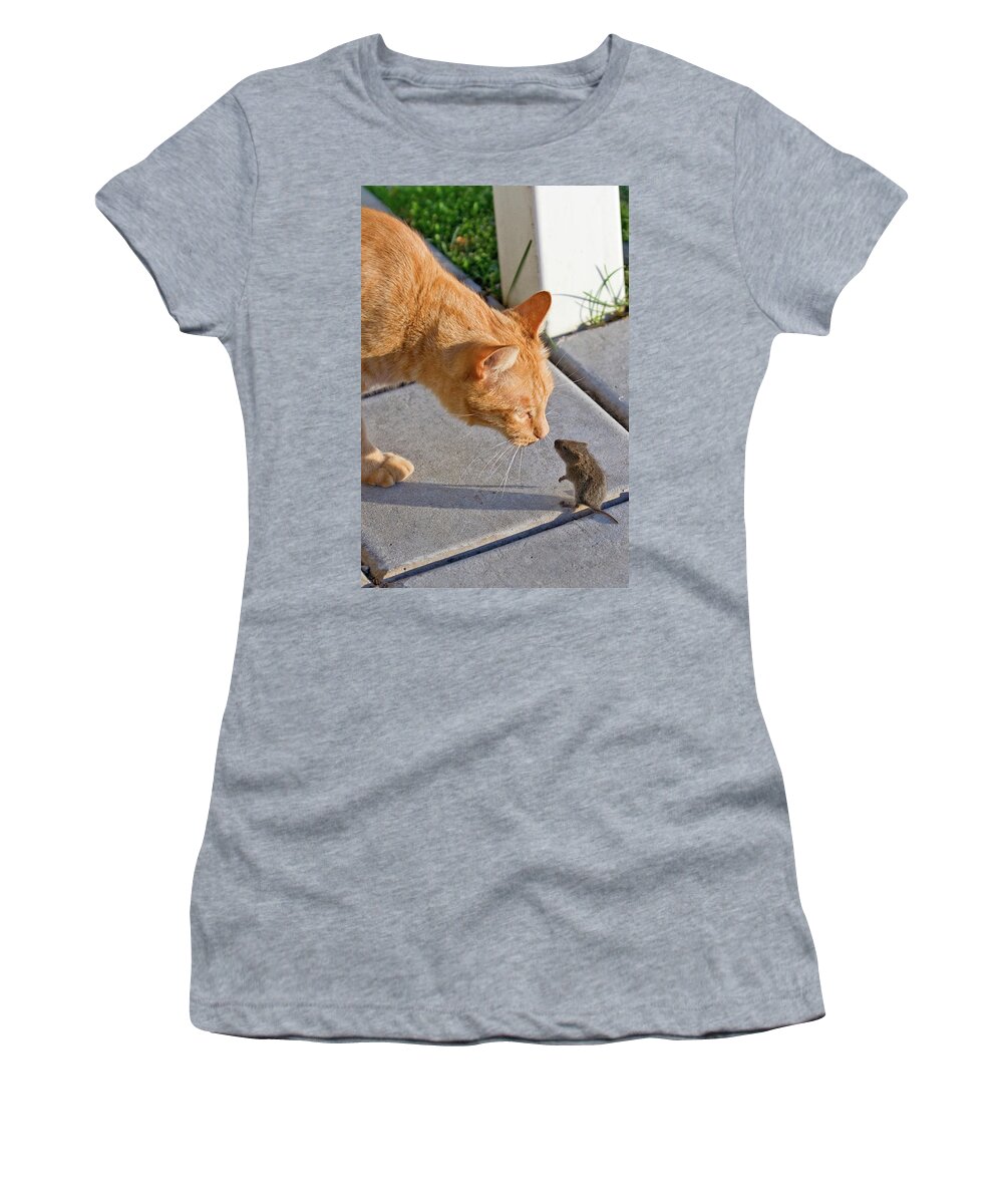 Cat Women's T-Shirt featuring the photograph Cat and Mouse by Wesley Aston