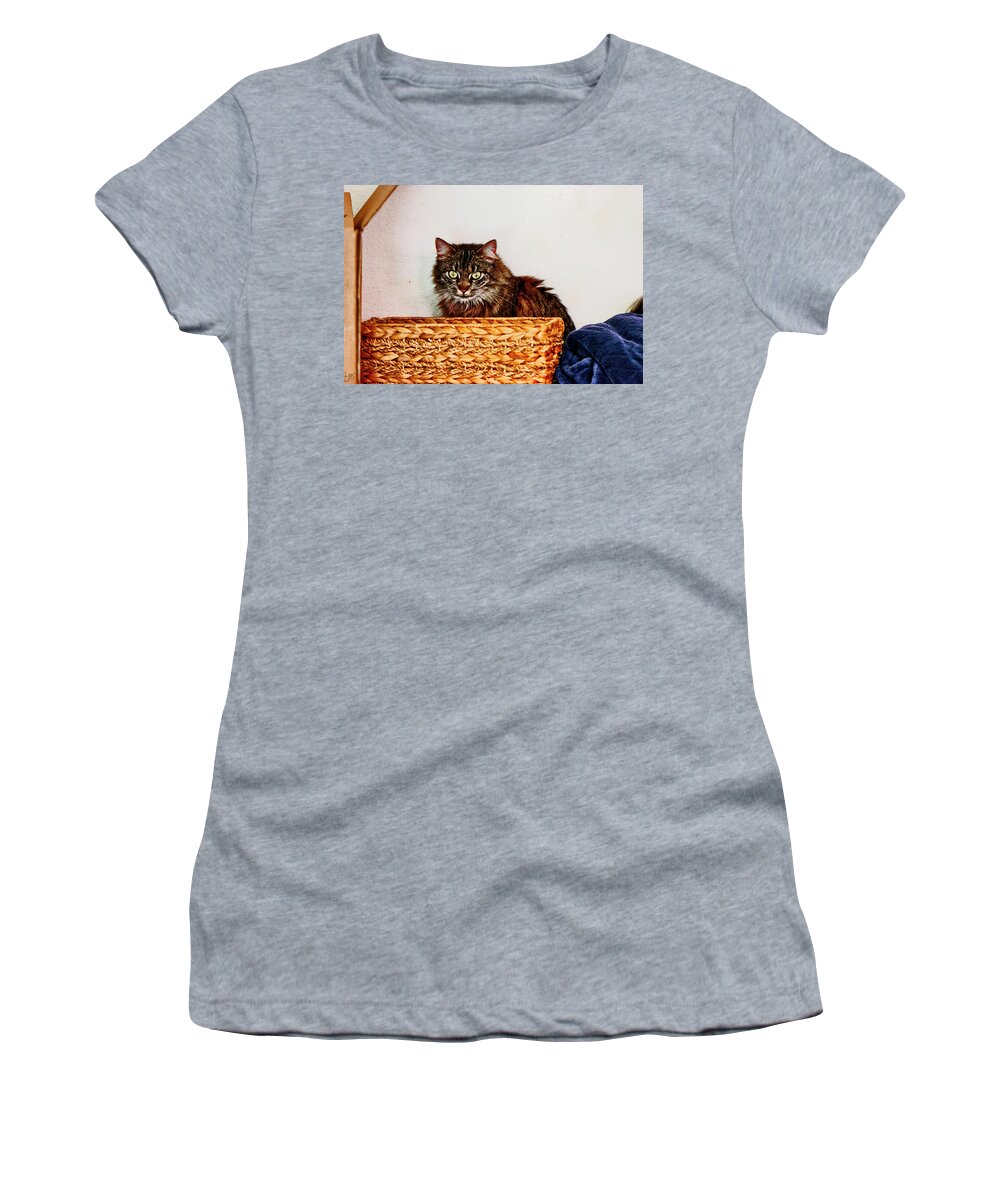 Cat Women's T-Shirt featuring the photograph Cat Behind a Basket by Gina O'Brien