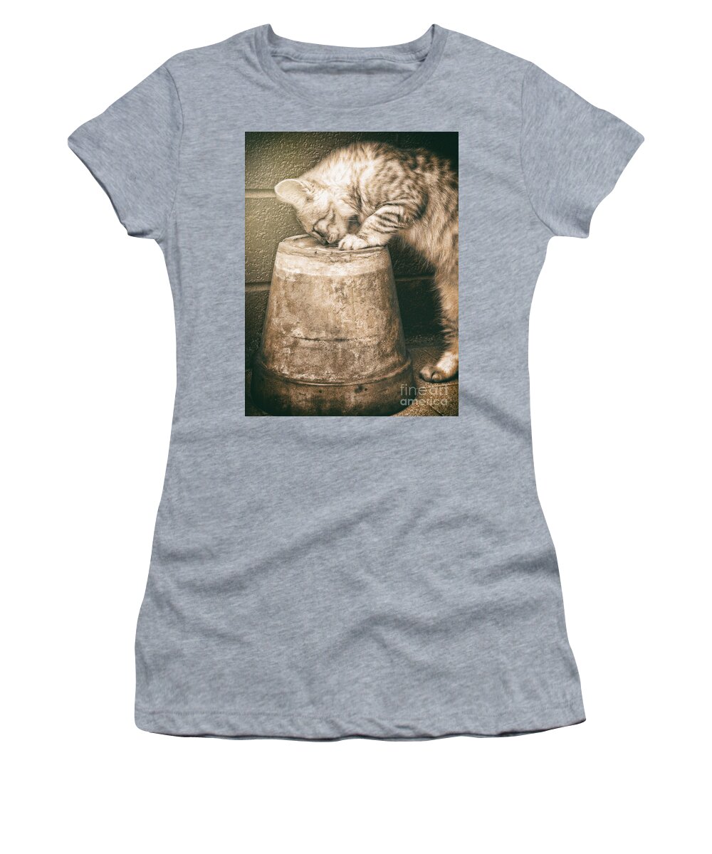 Pet Women's T-Shirt featuring the photograph Cat curiosity by Giuseppe Esposito