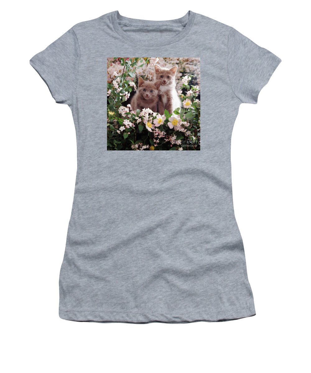 Kittens Women's T-Shirt featuring the photograph Cat Roses by Warren Photographic