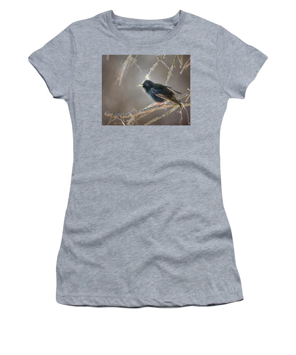 Starling Women's T-Shirt featuring the photograph Catch The Morning Light by Sue Capuano