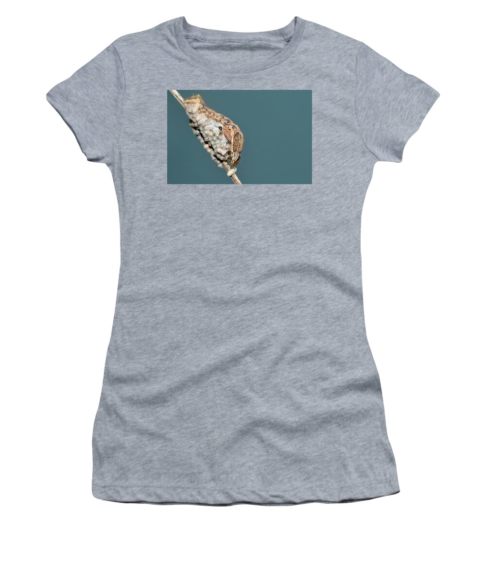 Photograph Women's T-Shirt featuring the photograph Caterpillar and Parasitic Wasp/Eggs by Larah McElroy