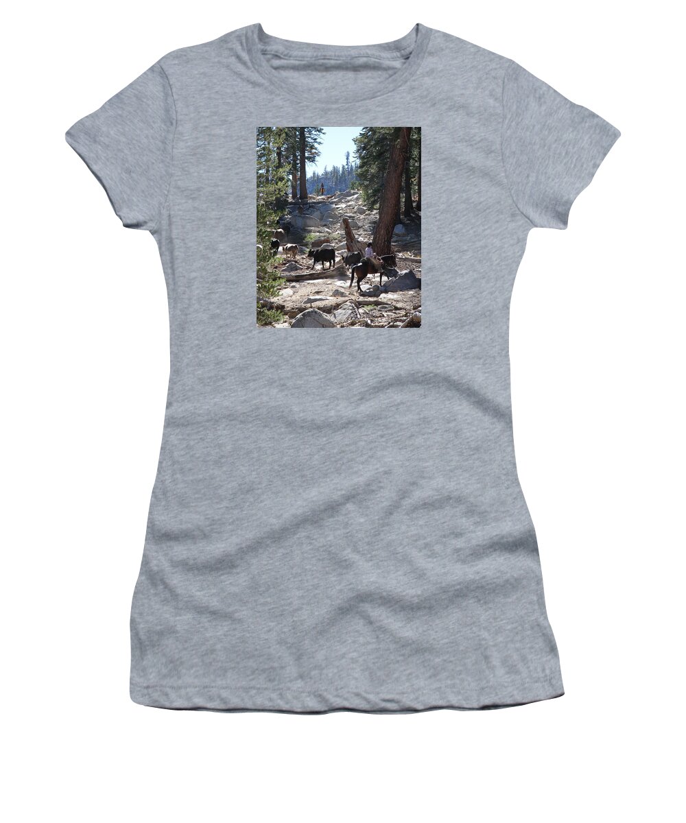 Cattle Women's T-Shirt featuring the photograph Cattle Climbing by Diane Bohna