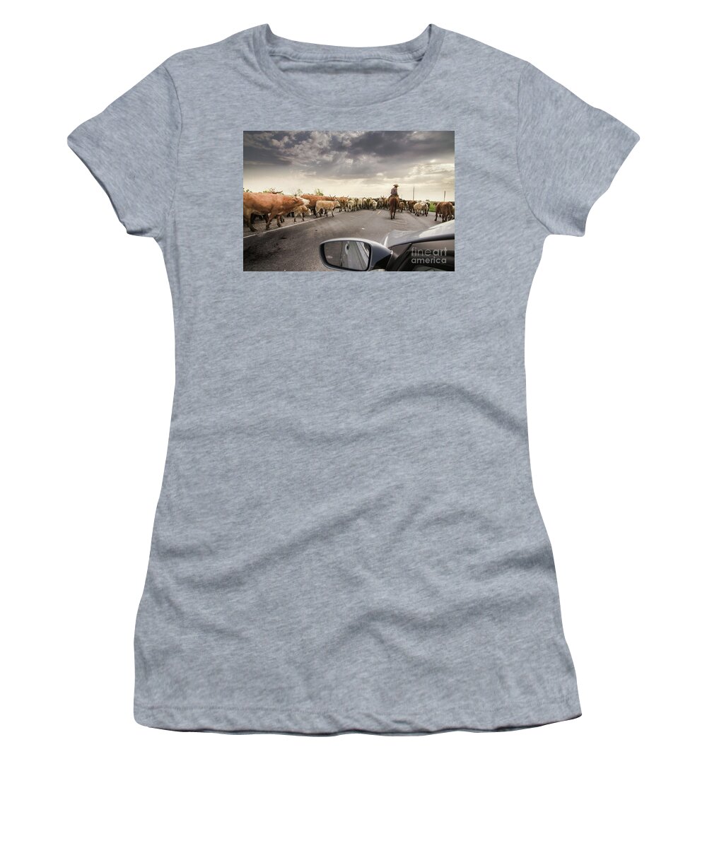 Landscape Women's T-Shirt featuring the photograph Cattle Drive by Robert Frederick