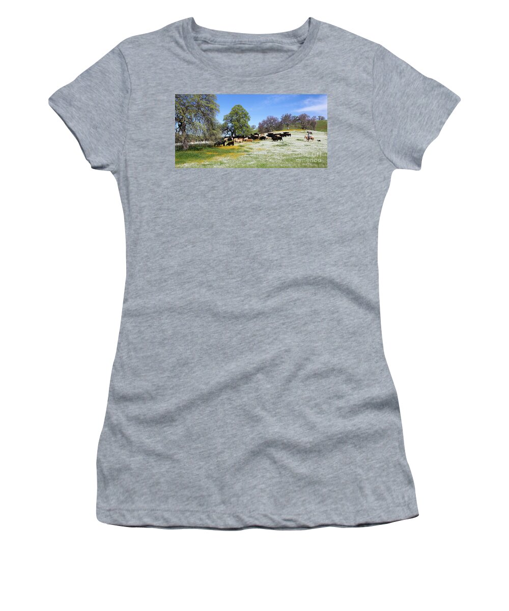 Cattle Women's T-Shirt featuring the photograph Cattle N Flowers by Diane Bohna