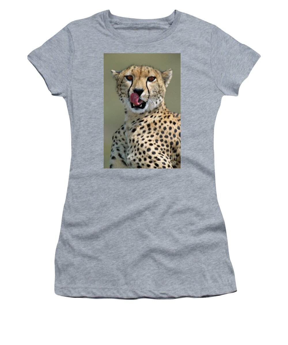 00344996 Women's T-Shirt featuring the photograph Cheetah Licking by Yva Momatiuk John Eastcott