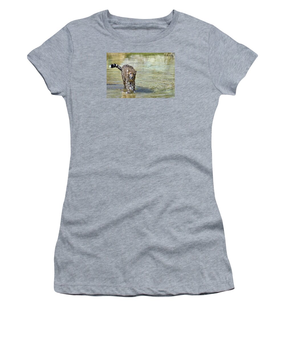 Animal Women's T-Shirt featuring the photograph Cheetah by Marcia Colelli