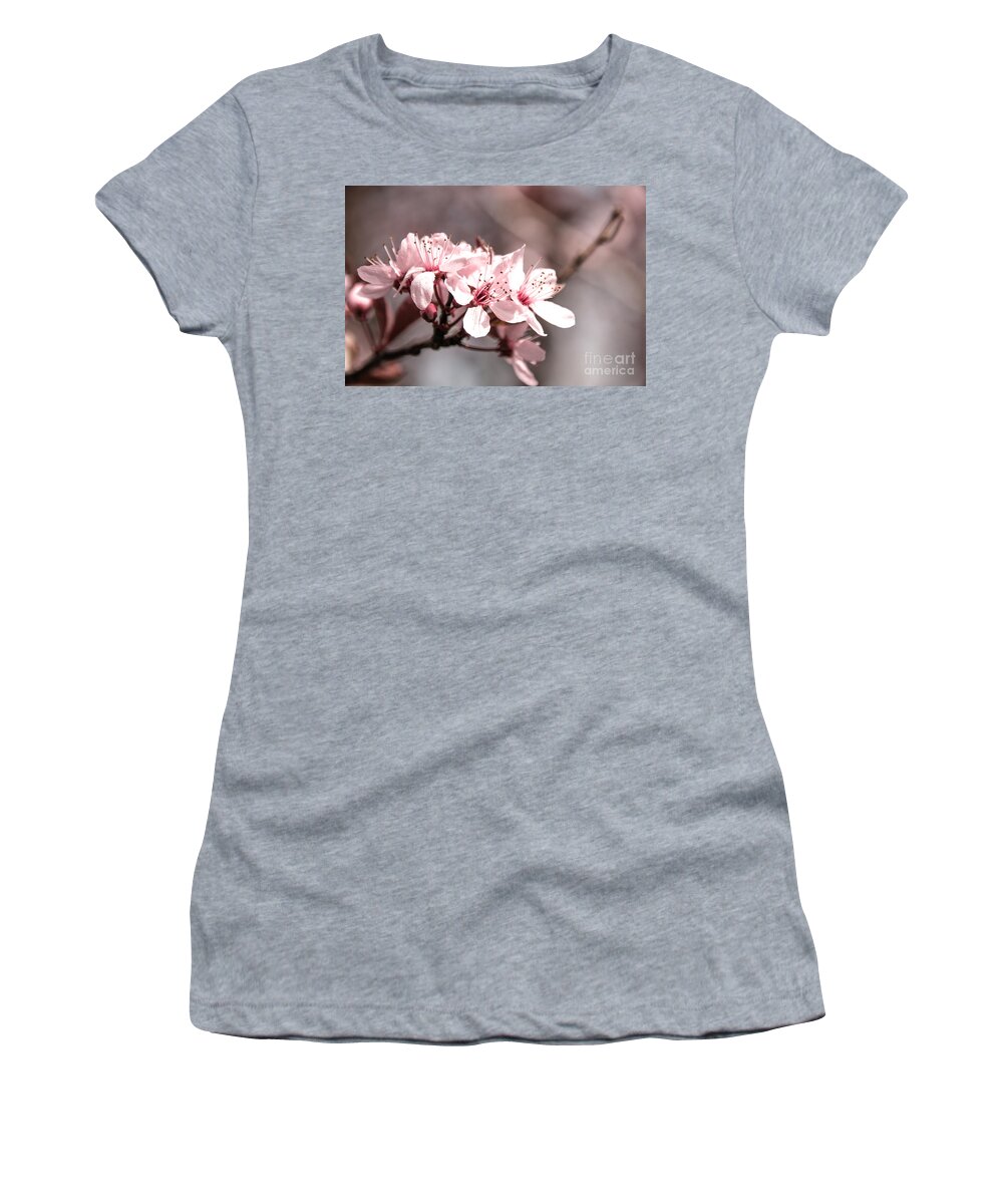 Cherry Women's T-Shirt featuring the photograph Cherry Blossom by Amanda Mohler